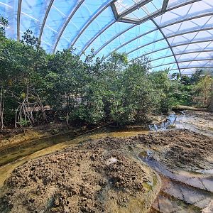 Mangrove - Mudflats enclosure
