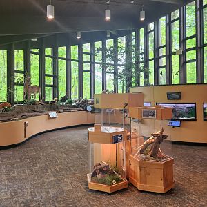 Rocky River NC - Exhibit hall