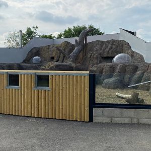 Hamerton, new Meerkat enclosure