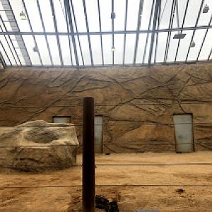 Opel Zoo- elephant indoor hall- 2021