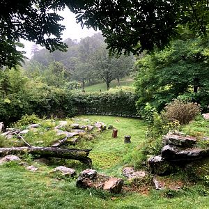 Opel Zoo- marabu enclosure- 2021