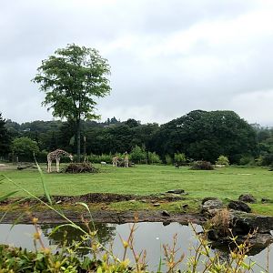 Opel Zoo- savannah enclosure- 2021