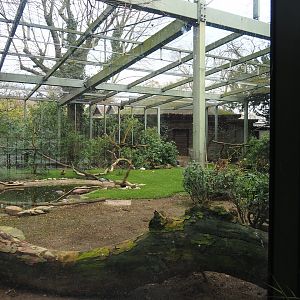 Hippo house aviary, 2023-04-08