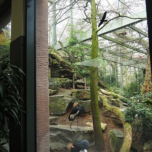 Hippo house aviary, 2023-04-08