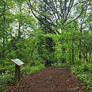 Greenburgh Nature Center (NY) - Pathway to center