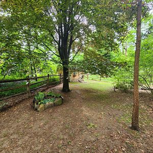 Greenburgh Nature Center (NY) - Sulcata tortoise yard
