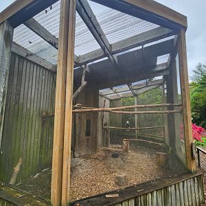 Greenburgh Nature Center (NY) - Bald Eagle enclosure