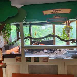 Greenburgh Nature Center (NY) - Tortoise exhibit