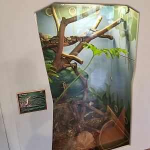 Greenburgh Nature Center (NY) - Ball Python enclosure