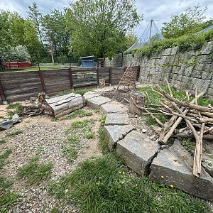 Skunk Enclosure at Zoologischer Garten Hof