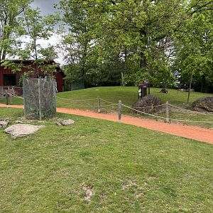 Wallaby Walkthrough at Zoologischer Garten Hof