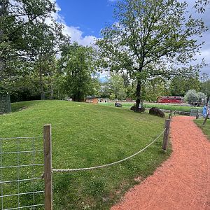 Wallaby Walkthrough at Zoologischer Garten Hof