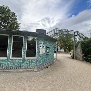 Gibbon Indoor Enclosure and Transfer Chute at Zoologischer Garten Hof