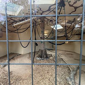 Lar Gibbon Indoor Enclosure at Zoologischer Garten Hof