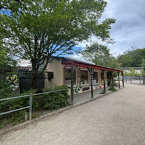 Sapajus sp. Indoor Quarters at Zoologischer Garten Hof