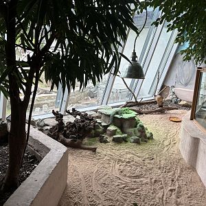 Black and White Tegu Enclosure at Zoologischer Garten Hof