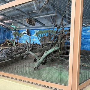 Bush Hyrax Enclosure at Zoologischer Garten Hof