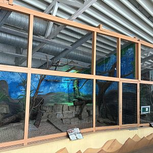 Red-billed Honbil and African Grey Parrot Enclosures at Zoologischer Garten Hof