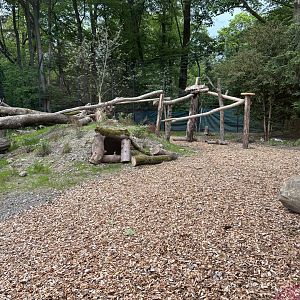 Lynx Enclosure at Zoologischer Garten Hof
