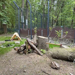 Lynx Enclosure at Zoologischer Garten Hof