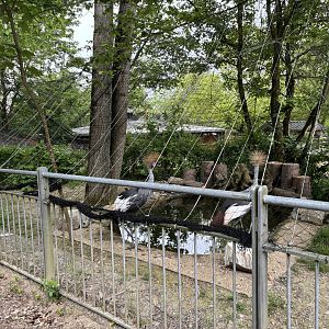 Grey Crowned Crane Aviary at Zoologischer Garten Hof