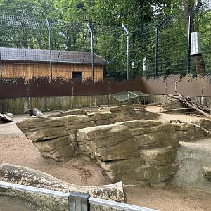 Created Porcupine Enclosure at Zoologischer Garten Hof