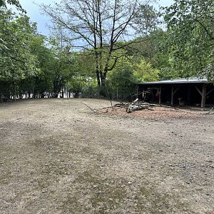 Alpaca and Mara Enclosure at Zoologischer Garten Hof