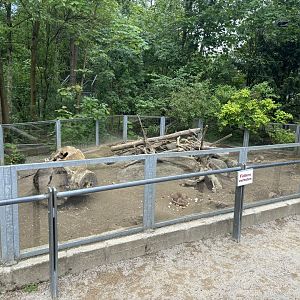 Prairie Dog Enclosure at Zoologischer Garten Hof