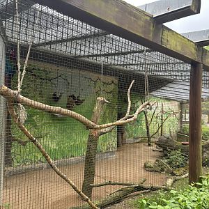 Green-wing Macaw Enclosure at Zoologischer Garten Hof