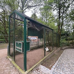 Monk Parrot Aviary at Zoologischer Garten Hof