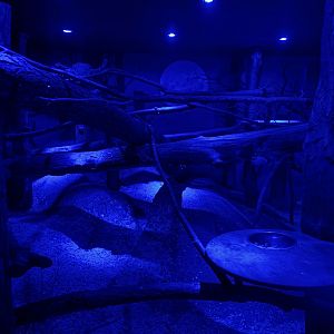 Common Brushtail Possum and Woylie Enclosure at  Zoologischer Garten Hof