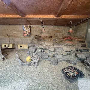 Indoor Meerkat and Yellow Mongoose Enclosure at Zoologischer Garten Hof