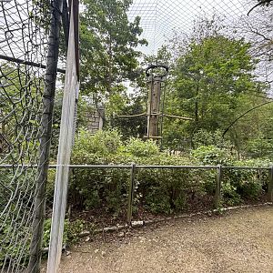 Snowy Owl Walkthrough Enclosure at Zoologischer Garten Hof