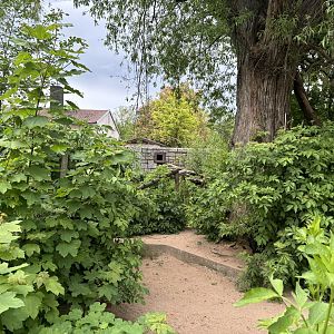 Back Area of the Raccoon Enclosure at Zoologischer Garten Hof
