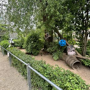 Raccoon Enclosure at Zoologischer Garten Hof