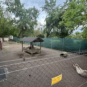 Reindeer And Stork Enclosure at Zoologischer Garten Hof