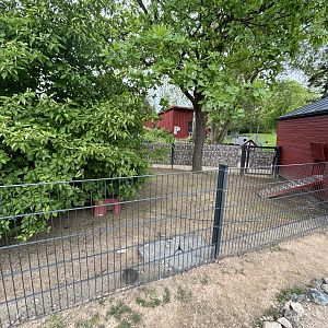 Guinea Pig Enclosure at Zoologischer Garten Hof