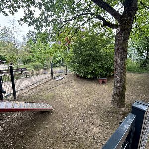 Guinea Pig Enclosure at Zoologischer Garten Hof