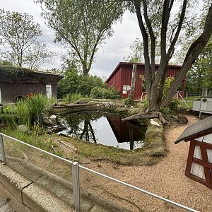 White Mandarin Duck Enclosure at Zoologischer Garten Hof