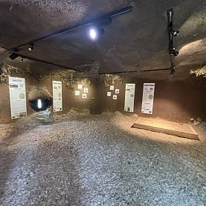 Inside the Underground Area at Zoologischer Garten Hof