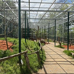 Australian Walkthrough Aviary at Zoologischer Garten Hof