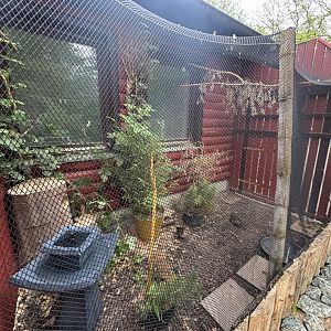 Baikal Teal Enclosure at Zoologischer Garten Hof