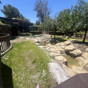 Future Malayan Tapir/Baribusa exhibit