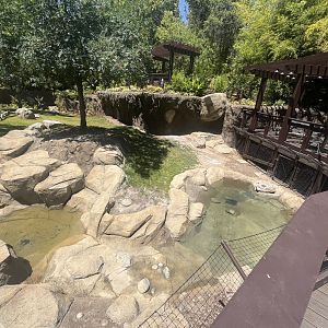 Future Malayan Tapir/Baribusa exhibit