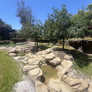 Future Malayan Tapir/Baribusa exhibit