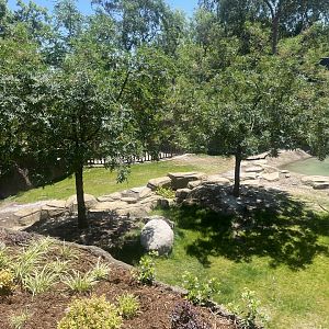 Future Malayan Tapir/Baribusa exhibit