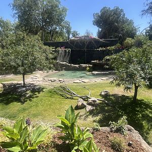 Future Malayan Tapir/Baribusa exhibit