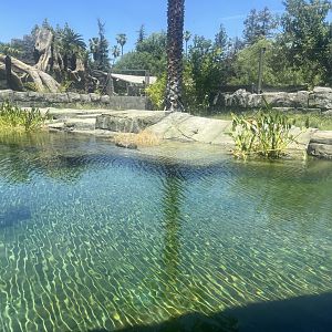 Empty False Gharial exhibit