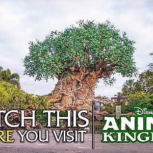 Rating Every Exhibit at Disney's Animal Kingdom