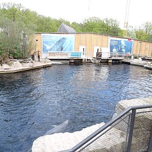Bottle-nosed dolphin enclosure